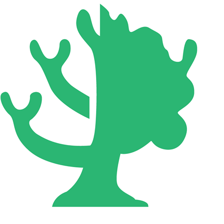 Kivu Green Corporation